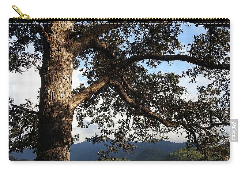 Tree Zip Pouch featuring the photograph Tree With a View by Kathy Ozzard Chism