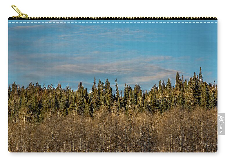 Trees Zip Pouch featuring the photograph Treescape, Wyoming by Julieta Belmont