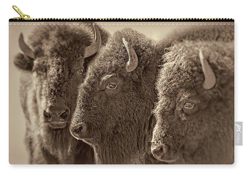 Buffalo Zip Pouch featuring the photograph Trio American Bison Sepia Brown by Jennie Marie Schell