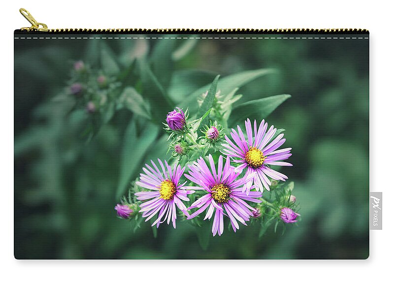 New England Aster Zip Pouch featuring the photograph Trio of New England Aster Blooms by Scott Norris