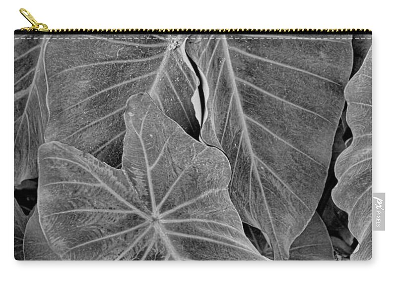 Tropical Zip Pouch featuring the photograph Tropical Plantation Maui Study 18 by Robert Meyers-Lussier