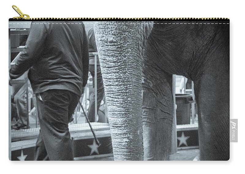 Elephant Zip Pouch featuring the photograph Trunk by Phil S Addis