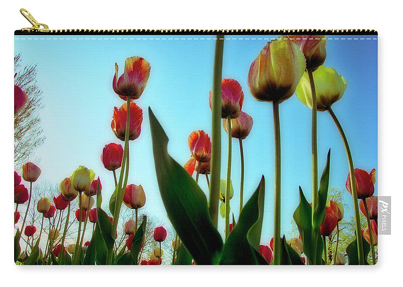 Evie Zip Pouch featuring the photograph Tulip Holland Michigan 85 by Evie Carrier