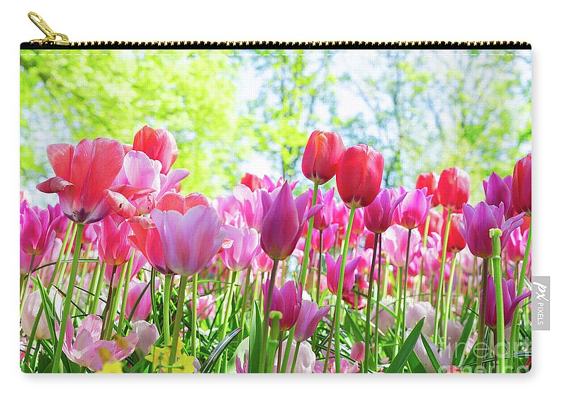 Tulips Zip Pouch featuring the photograph Tulips Pink Growth by Anastasy Yarmolovich