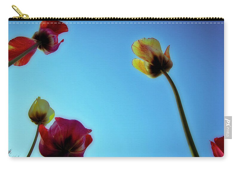 Evie Zip Pouch featuring the photograph Tulips Holland Michigan 91 by Evie Carrier