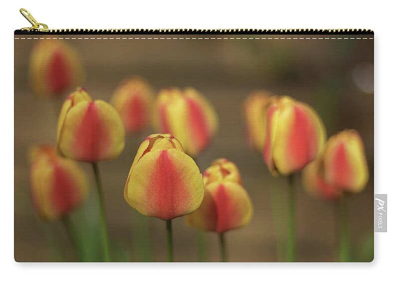 Tulip Zip Pouch featuring the photograph Tulips by Martin Vorel Minimalist Photography