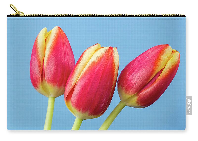 Tulips Zip Pouch featuring the photograph Tulips by Tanya C Smith