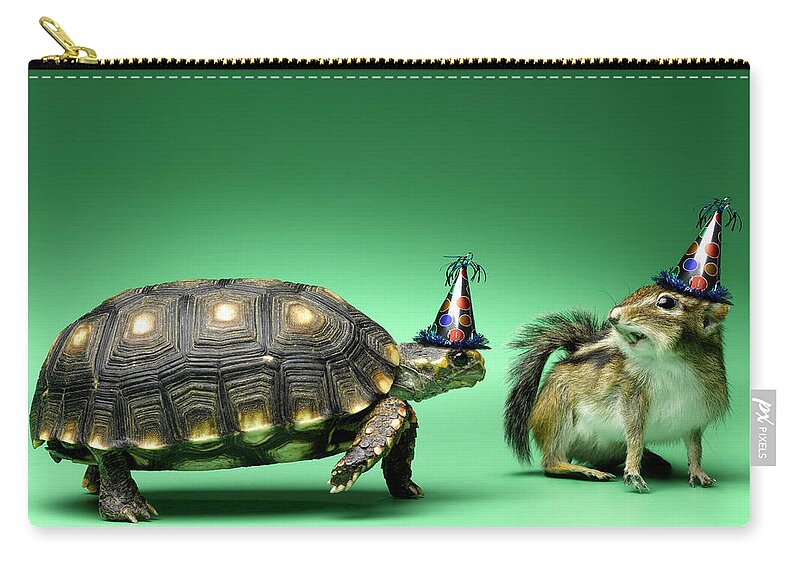 Shadow Zip Pouch featuring the photograph Turtle And Chipmunk Wearing Party Hats by Jeffrey Hamilton