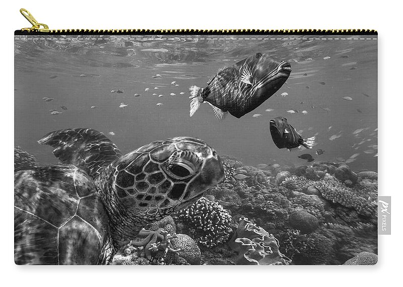 Disk1215 Zip Pouch featuring the photograph Turtle And Triggerfish by Tim Fitzharris
