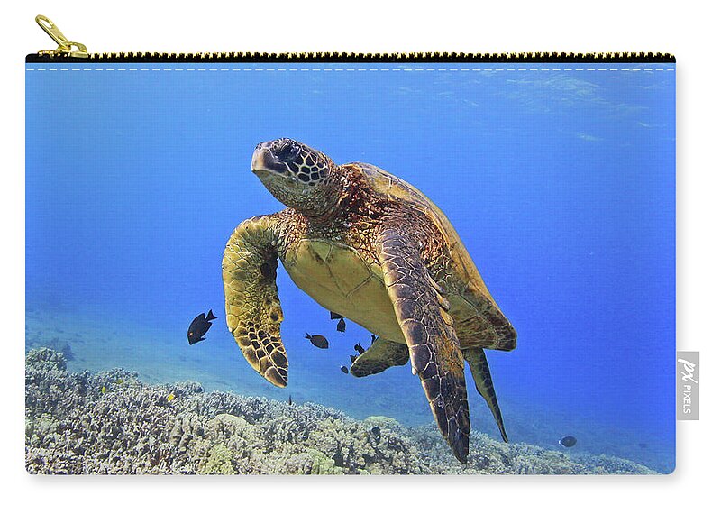 Underwater Zip Pouch featuring the photograph Turtle by Chris Stankis