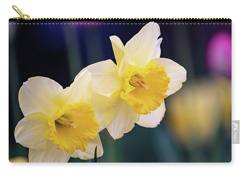 Art Zip Pouch featuring the photograph Twin Daffodils by Joan Han