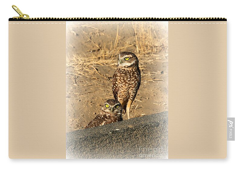 Owl Zip Pouch featuring the photograph Two Burrowing Owls by Carol Groenen