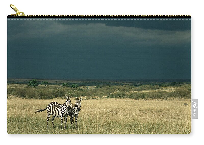 Kenya Zip Pouch featuring the photograph Two Common Zebras Equus Quagga At by James Warwick