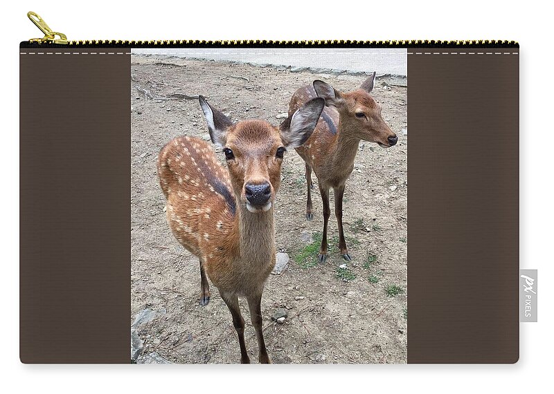 Deer Zip Pouch featuring the photograph Two deer by Batabatabat Batayan