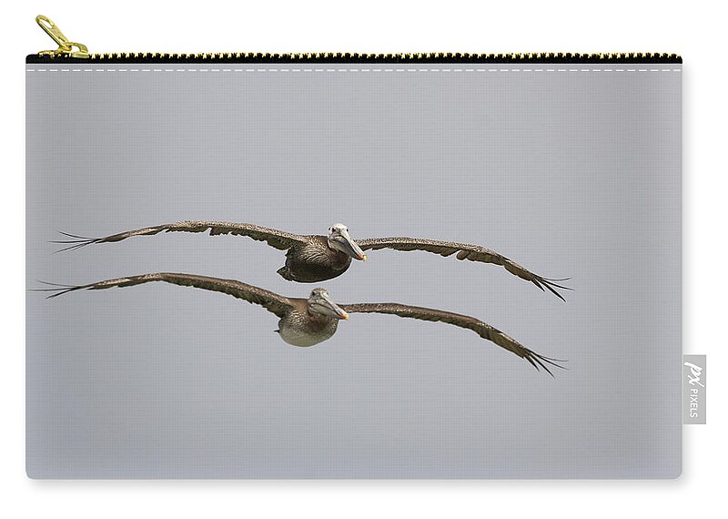 Mp Zip Pouch featuring the photograph Two Pelicans Over Monterey Bay by Sebastian Kennerknecht