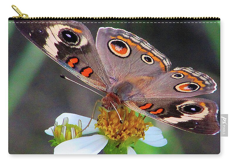 Butterfly Carry-all Pouch featuring the photograph Uncommon Buckeye by Michael Allard
