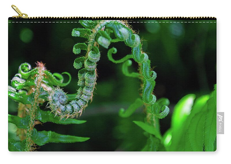 Plant Zip Pouch featuring the photograph Uncurling Frond by Tikvah's Hope