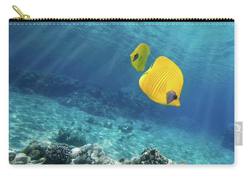 Underwater Zip Pouch featuring the photograph Underwater Picture Of Orangeface by Viridis