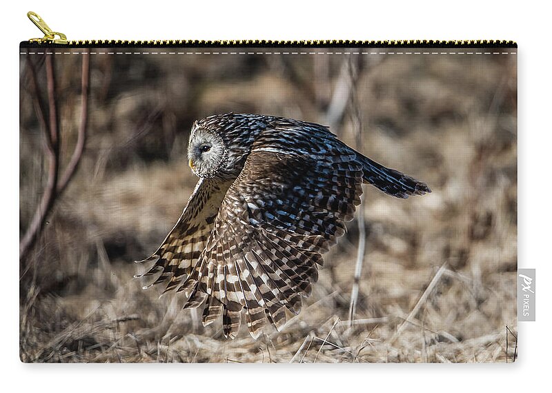 Ural Owl Zip Pouch featuring the photograph Ural owl flying close to the ground after catching a prey by Torbjorn Swenelius