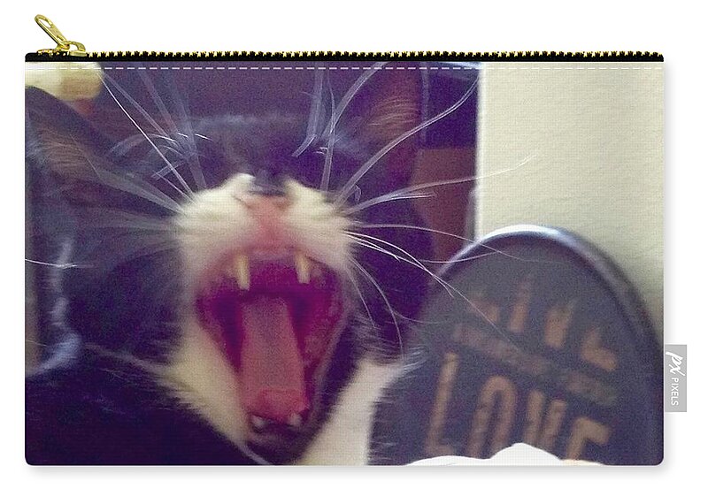 Elvis Zip Pouch featuring the photograph Scary Vampire Yawn by Debra Grace Addison