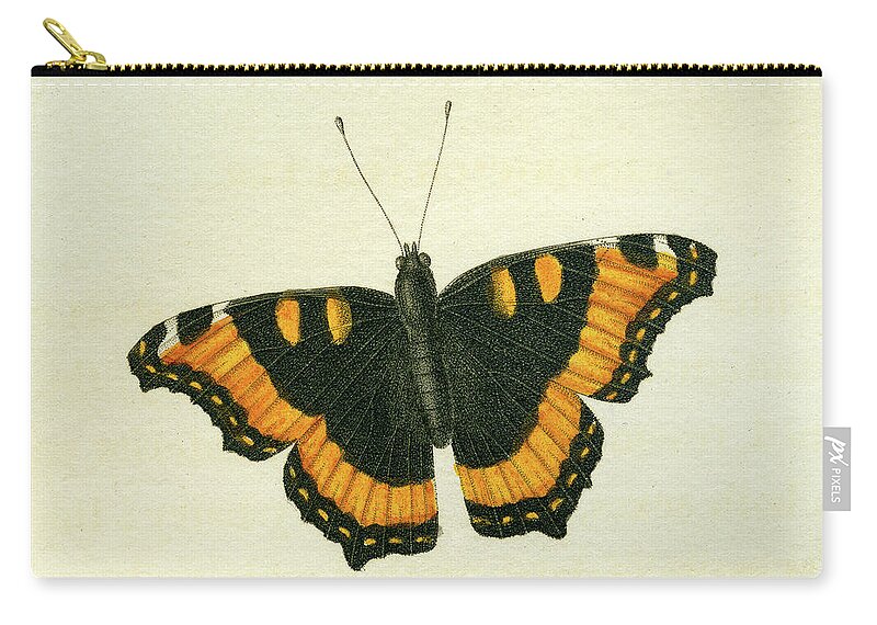 Entomology Zip Pouch featuring the mixed media Vanessa furcillata detail by W W Wood