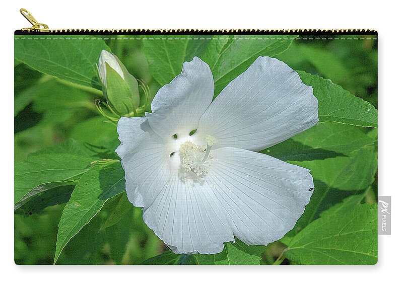 Nature Zip Pouch featuring the photograph Very Rare almost All-white Crimson-eyed Rosemallow DFL0995 by Gerry Gantt