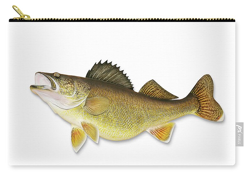 White Background Zip Pouch featuring the photograph Walleye With Clipping Path by Georgepeters