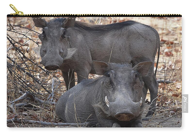 Warthog Carry-all Pouch featuring the photograph Wart Hog Pair by Ben Foster