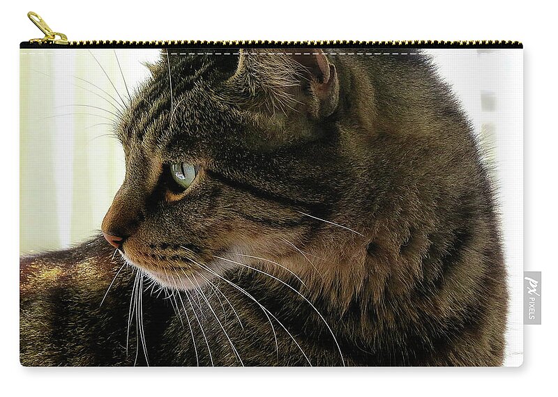 Cats Zip Pouch featuring the photograph Was That a Mouse? by Linda Stern