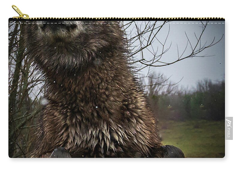 Black Wolf Wolves Zip Pouch featuring the photograph Watch the Eyes by Laura Hedien