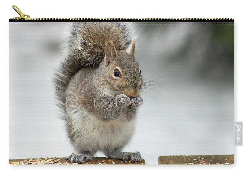 Squirrel Zip Pouch featuring the photograph Watching Me Watching You by Tammy Chesney