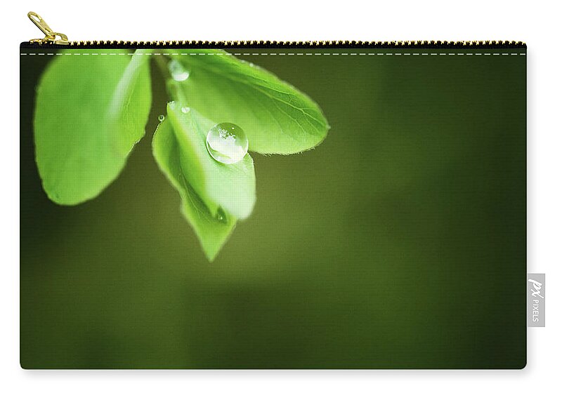 Lifestyles Zip Pouch featuring the photograph Water Drops After Rain by Rike 