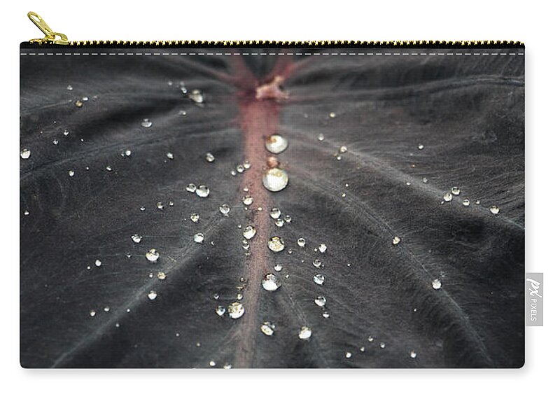 Water Zip Pouch featuring the photograph Water Drops on Black Leaf by Rick Deacon