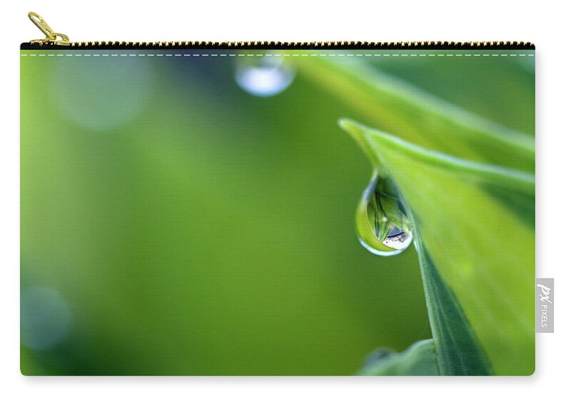 Windsor Zip Pouch featuring the photograph Water Drops On Hosta Leaves by Photography By Gordana Adamovic Mladenovic