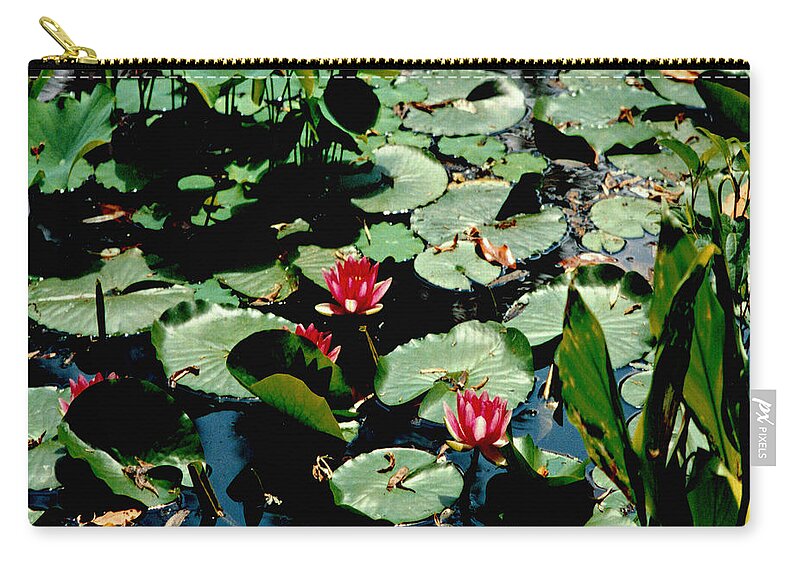 Water Lilies Zip Pouch featuring the photograph Water Lilies Squared by Mike McBrayer