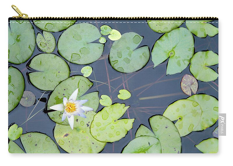 Pond Zip Pouch featuring the photograph Water Lily by Bauhaus1000