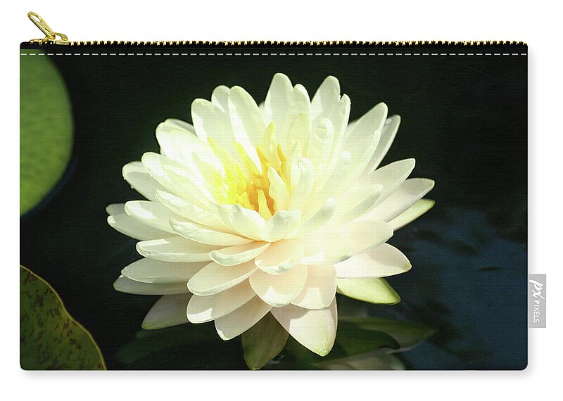 Flower Carry-all Pouch featuring the photograph Water Lily by Steve Karol