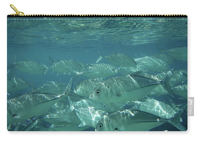 Underwater Zip Pouch featuring the photograph Water World by Federica Grassi