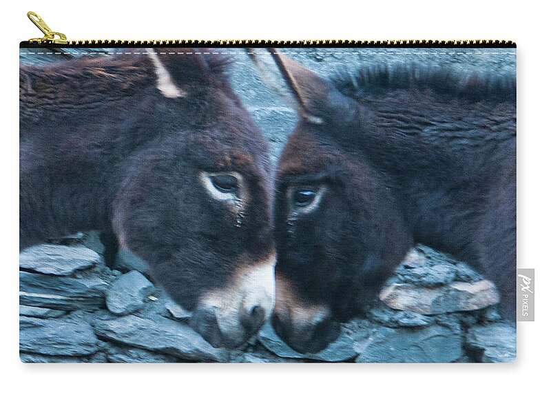 Burro Carry-all Pouch featuring the photograph Eye To Eye, Nose To Nose, Heart To Heart by Leslie Struxness