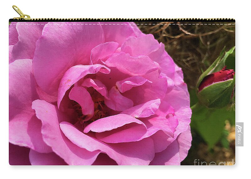 Rose Zip Pouch featuring the photograph Wearing Pink by Eunice Warfel