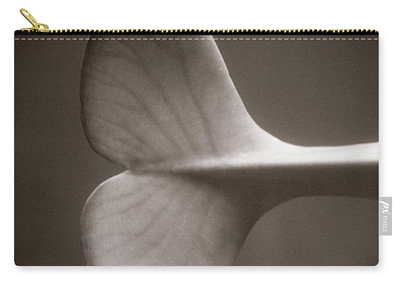 White Background Zip Pouch featuring the photograph Whale Tail by Henry Horenstein