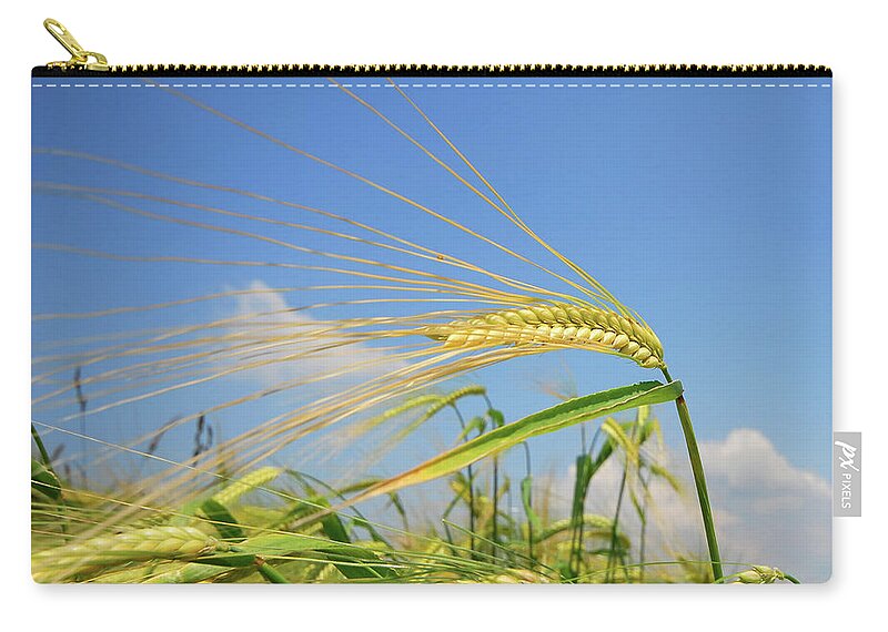 Outdoors Zip Pouch featuring the photograph Wheat Field by Philippe Sainte-laudy Photography