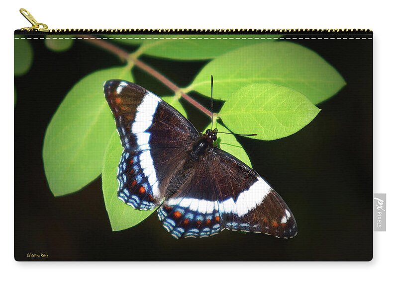 Butterfly Zip Pouch featuring the photograph White Admiral Butterfly by Christina Rollo