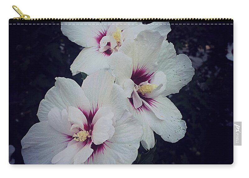 Morning Star Althea Zip Pouch featuring the photograph Flowers - White and Pink Hibiscus - Square by Frank J Casella