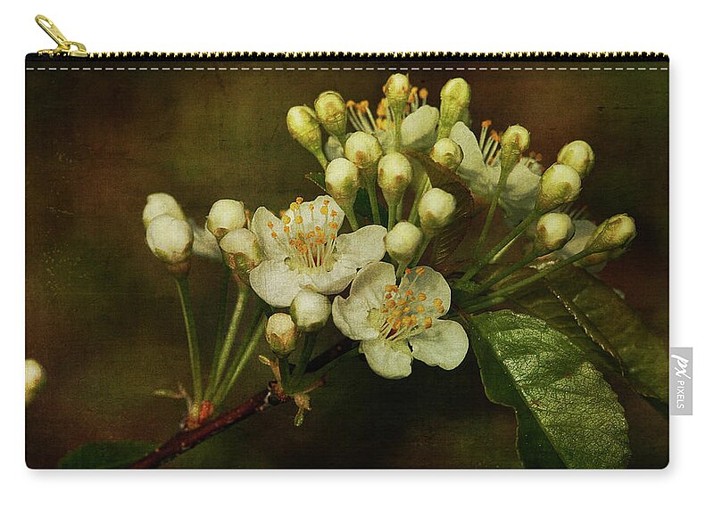 Floral Zip Pouch featuring the photograph White Blossoms by Cindi Ressler