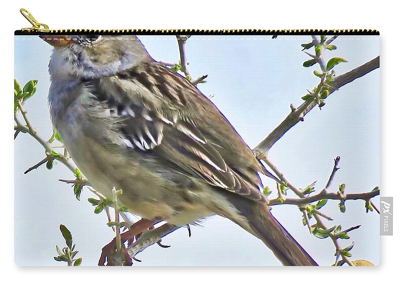 Affordable Carry-all Pouch featuring the photograph White-Crowned Sparrow on Creosote by Judy Kennedy
