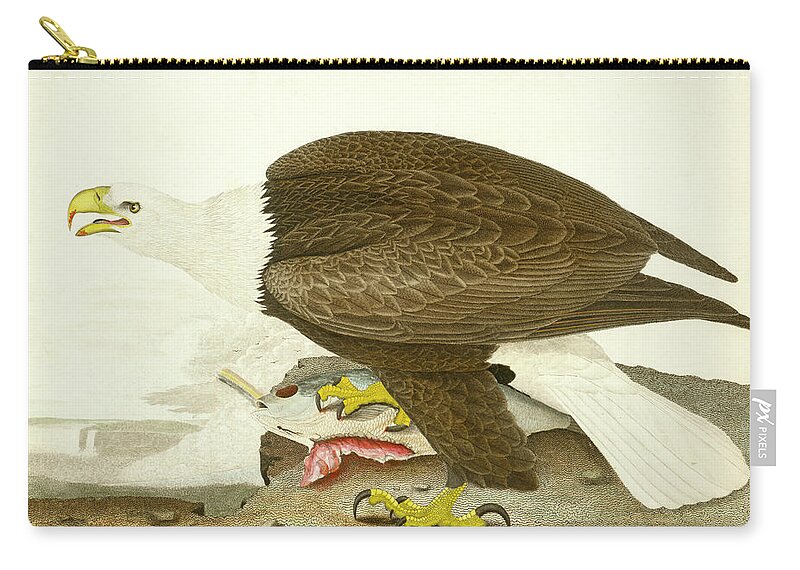 Eagle Zip Pouch featuring the mixed media White-headed Eagle by Alexander Wilson