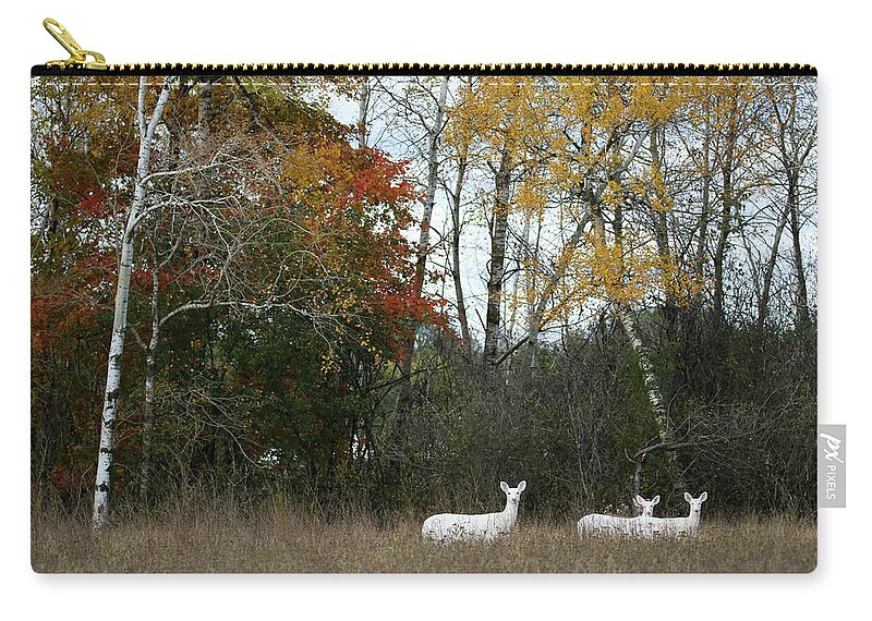 White Zip Pouch featuring the photograph White in the Autumn Woods by Brook Burling