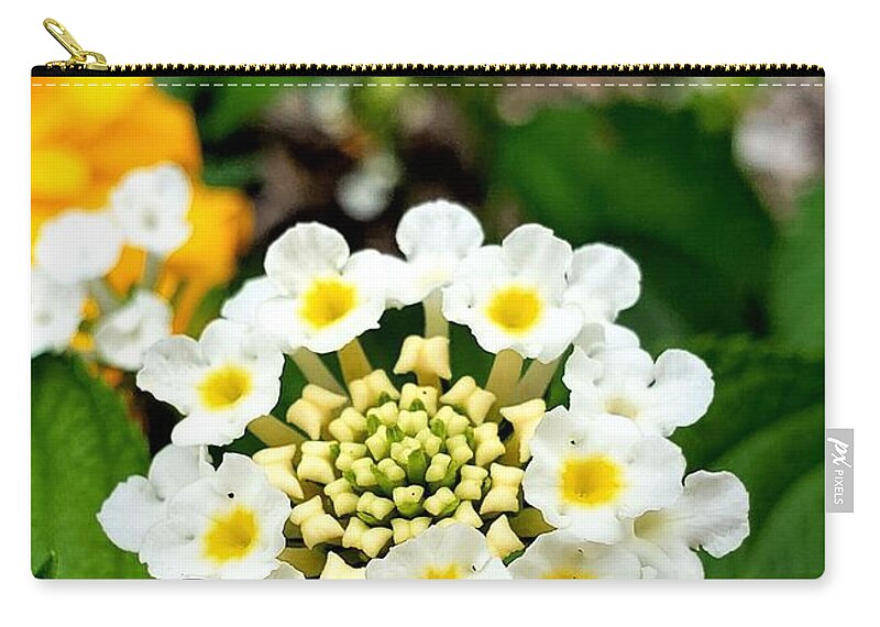 Lantana Zip Pouch featuring the photograph White Lantana 2 by Chad and Stacey Hall