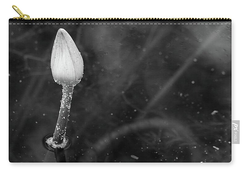 Lotus Zip Pouch featuring the photograph White Lotus Bud by Mary Anne Delgado